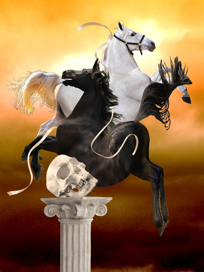 De Paarden van Diomedes