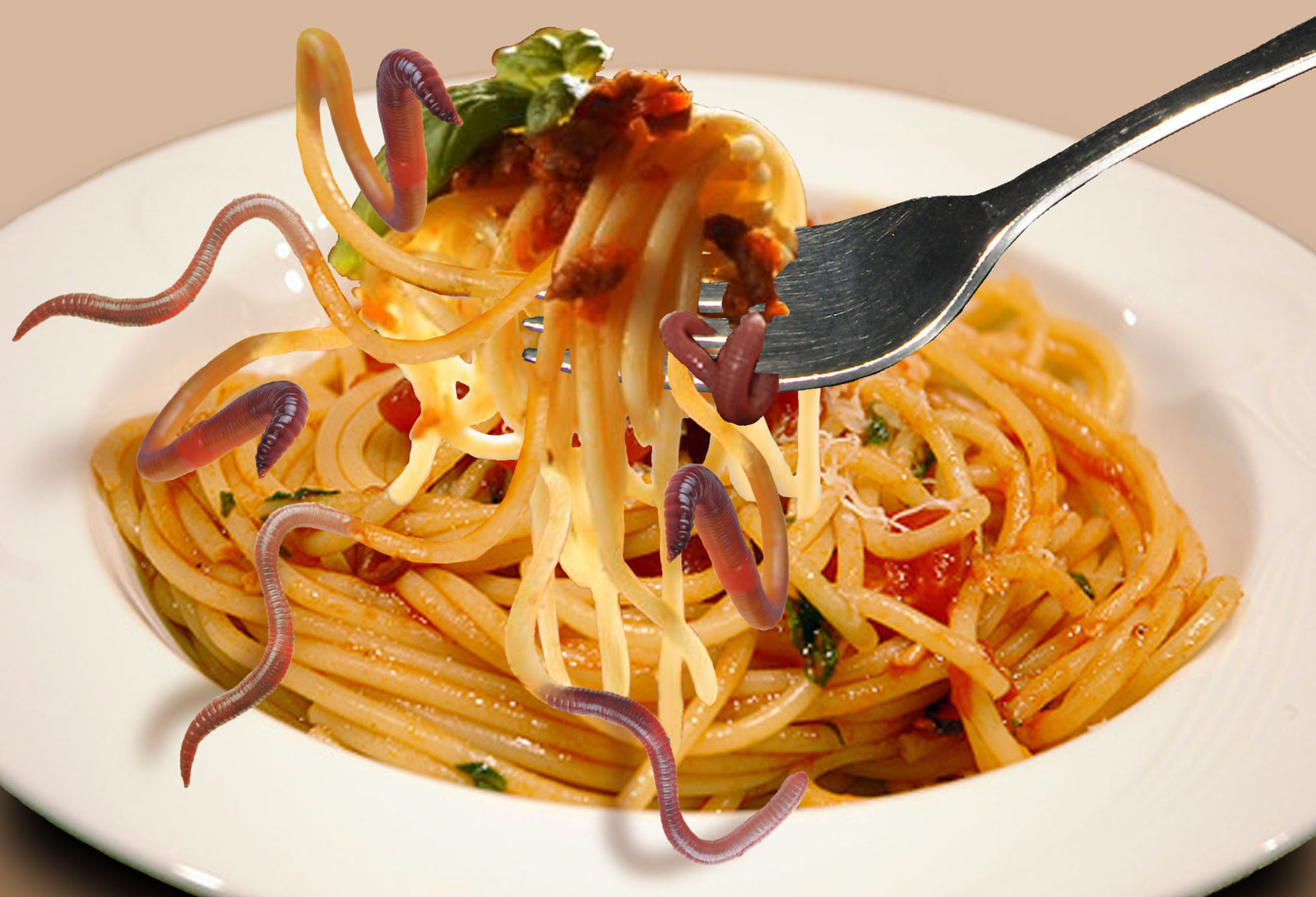Lekker, spaghetti!