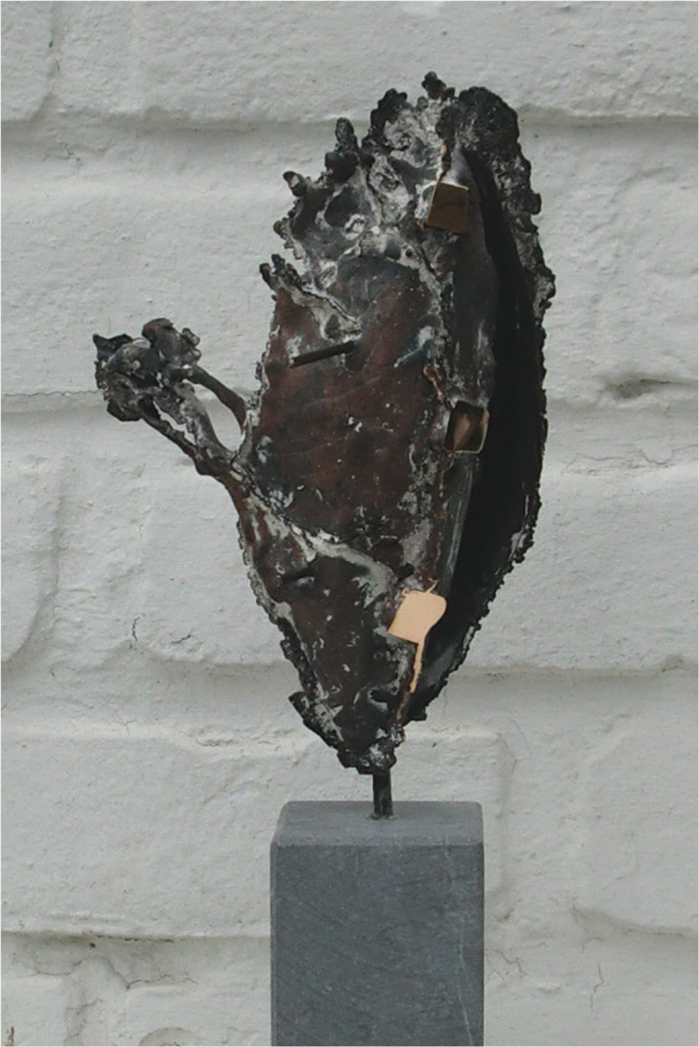 Kauri 2