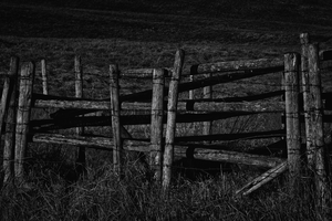 Foto's van landschappen en andere onderwerpen