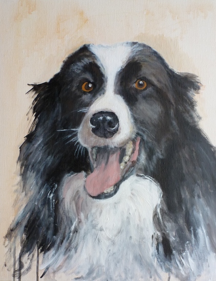 Hond