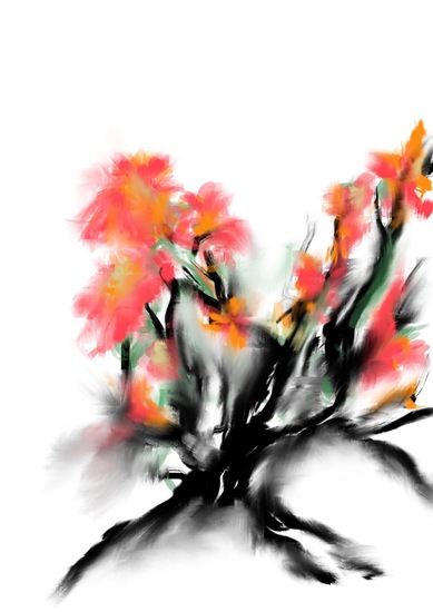 Chinese inspiratie