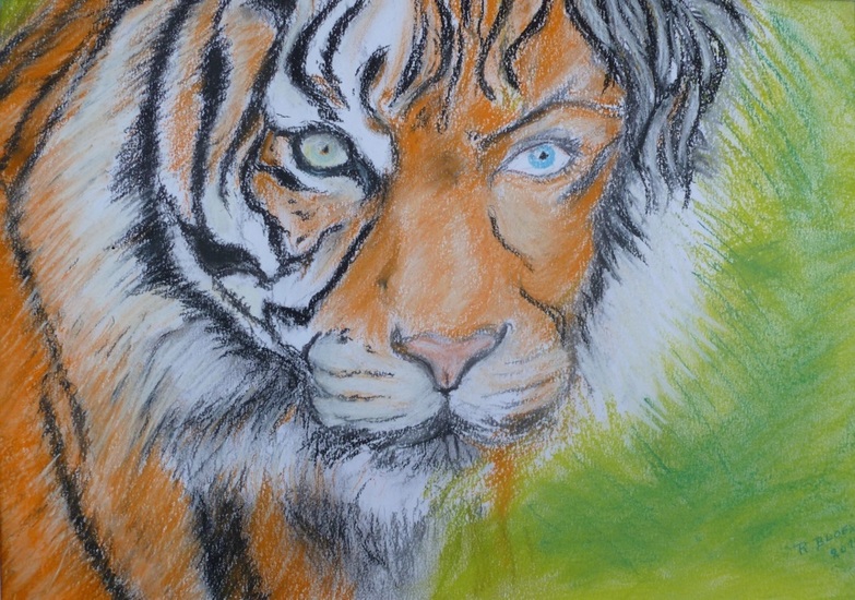 Tijger Mens