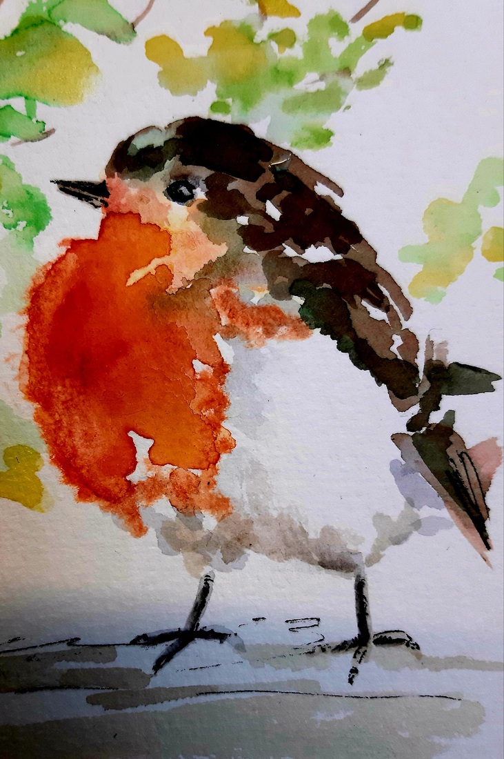 Roodborstje in aquarel /print