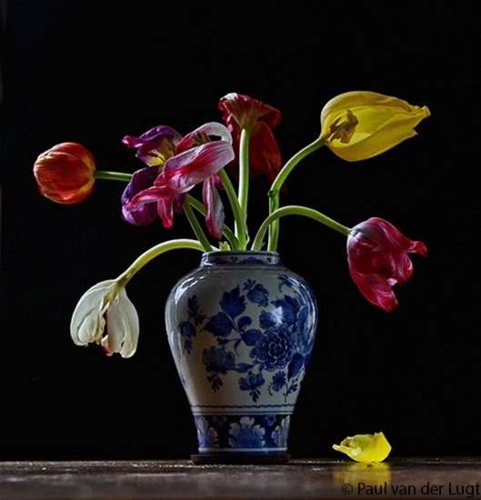 tulpen in Delfts blauwe vaas