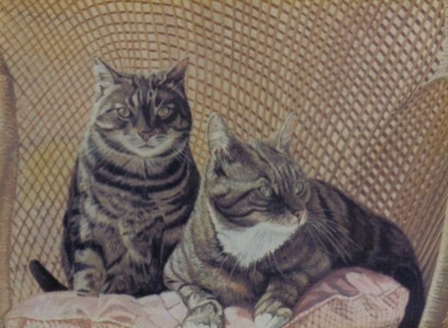 Katten portret