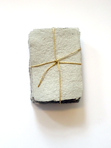 Al een leven lang houd ik van papier. In 2017 ben ik gestart met het scheppen van papier. De pulp maak ik van witte en gekleurde restanten drukpapier. De natuurlijke uitstraling van handgeschept papier is een fijne aanvulling op mijn vaak basic ontwerpen.