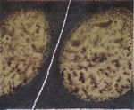 schilderijen in acryl of mixed media