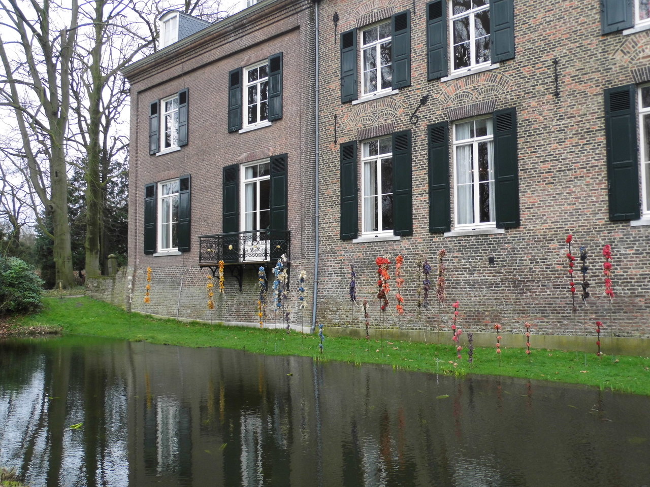 Ode aan Lisdodde 2017