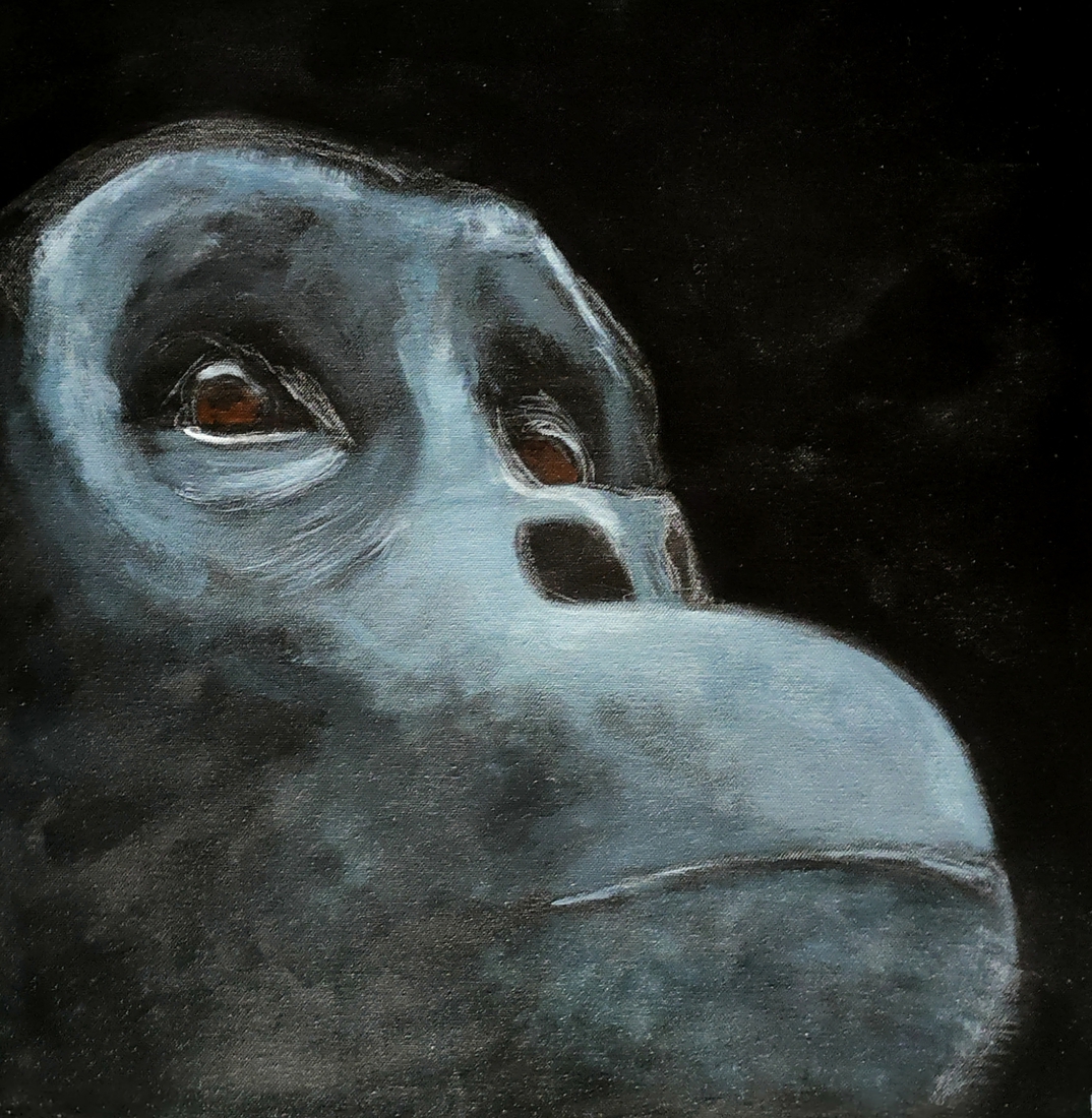 Gorilla