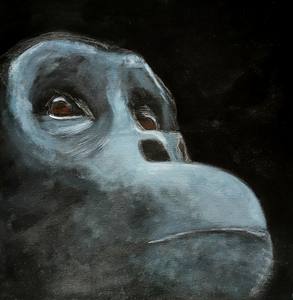 2025 werd een jaar van omkeren en ombuigen.
Van zwart-wit naar kleur, van binnen naar buiten.
Een zoektocht naar licht, naar nieuw begin —
waar emotie de richting wees.