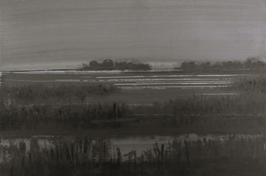 landschappen in oost-indische inkt