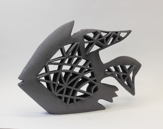 Black Fish