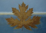 De natuur geeft ons kunst