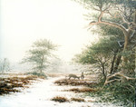dieren in het landschap.