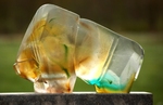 Gegoten glazen, epoxy resin en gefusede sculpturen.