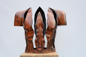 Bronzen torso's