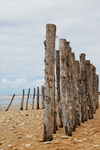 Palen op een strand in Frankrijk