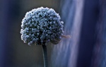 Lyrical colors in lyrical nature.