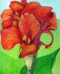 Bloemen schilderen met als doel; oefening in vorm en kleur