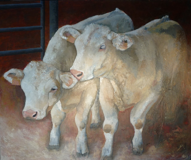 2 kalfjes in Chevannes