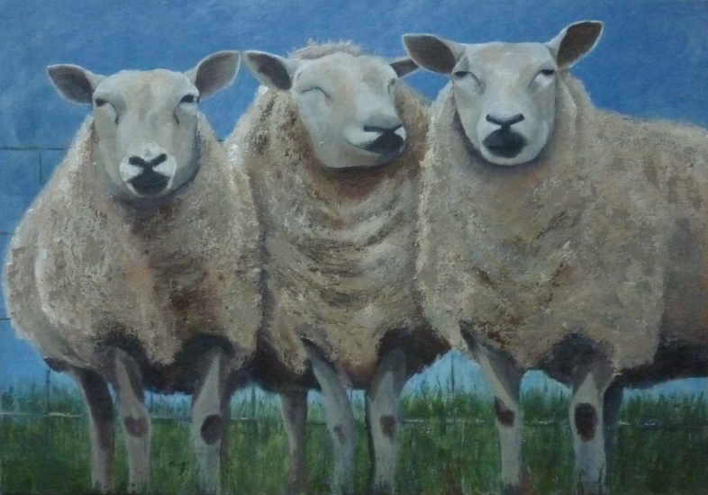 3 schapen voor een hek