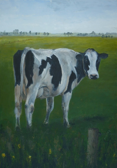 Koe uit Driebergen deel 1