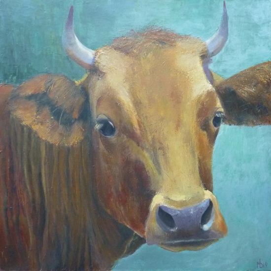 Portret van een koe met blauwe achtergrond