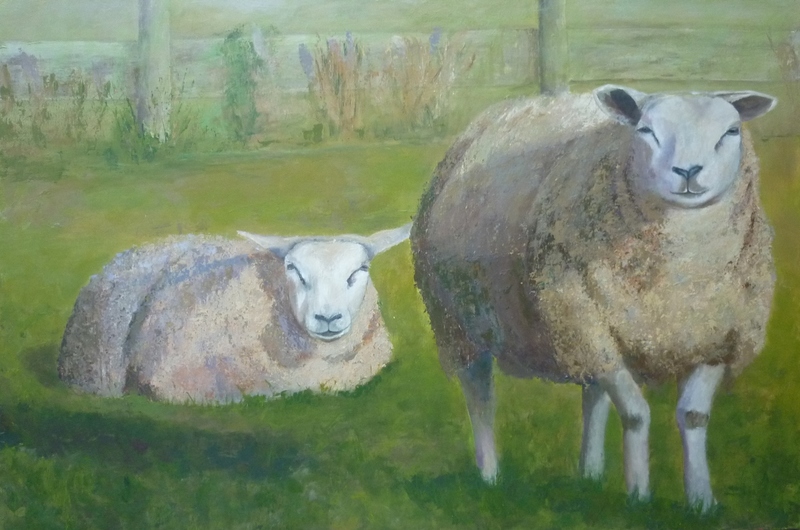 2 Langbroekse schapen