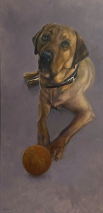 DIERENPORTRETTEN IN OPDRACHT Wilt u een portret van uw huisdier? Neemt u dan vrijblijvend contact op met 06-49728192