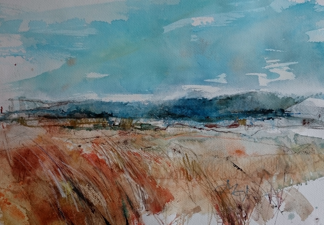 grasses on the island