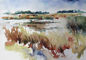 Landschappen met  aquarel  op papier. De aquarel wordt standaard geleverd met zuurvrij passe - partout . Het inlijsten en de lijst naar keuze ( aluminium 50 euro, aluminium wit 75 euro en white wash houten lijst 75 euro kunt u erbij bestellen , zie lijsten bij informatie pagina
U kunt al deze werken  in mijn atelier na afspraak bezichtigen .