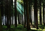 nature photography