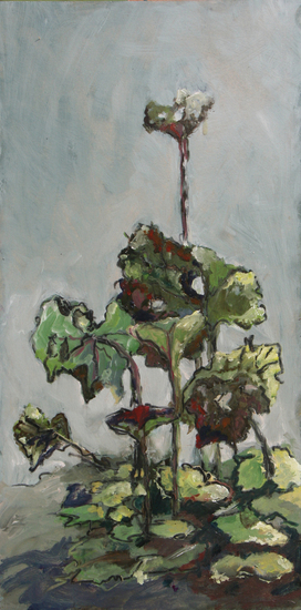 Groot Hoefblad IV