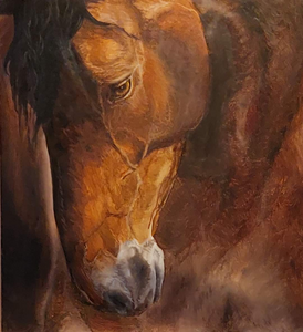 Paarden zijn een belangrijk element in mijn leven. Soms staan ze als een standbeeld in de weide of ze komen aanstormen in galop. Paarden leven in het