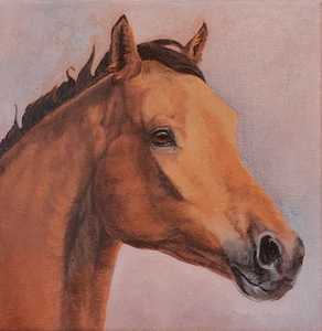 Wil je de ziel en uitstraling van jouw paard vereeuwigen op doek? Ik maak natuurgetrouwe schilderijen die ook het karakter weergeven en de bijzondere band die jullie delen.
Met oog voor detail en liefde voor paarden breng ik jouw dier tot leven in een schilderij. Voor meer informatie neem gerust contact op.