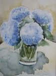 hortensias in een vaas
