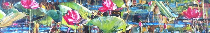 Lotus in de breedte