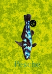 Some creatures of the deep