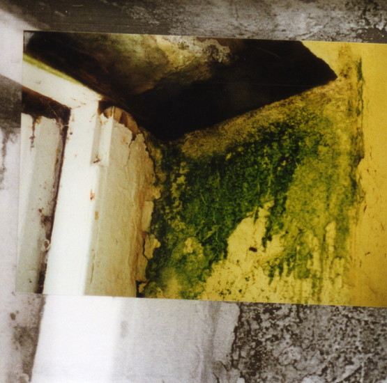 Storybox nr. 38