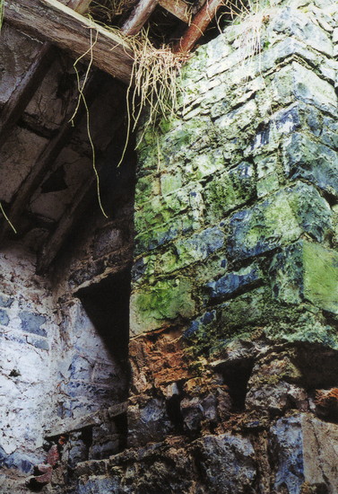 Coming Home, four abandonend houses in Clare, Ireland