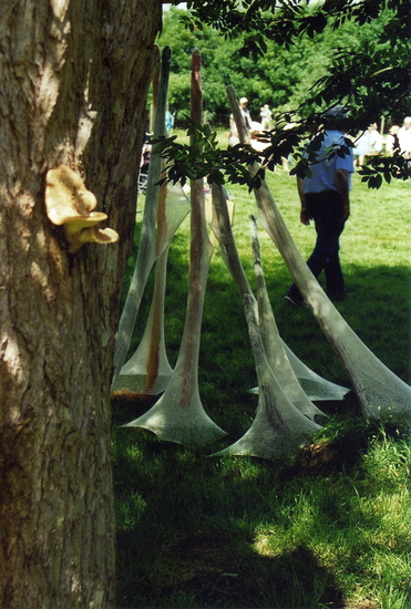 7 mushroom gatherers