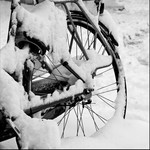 Sneeuw