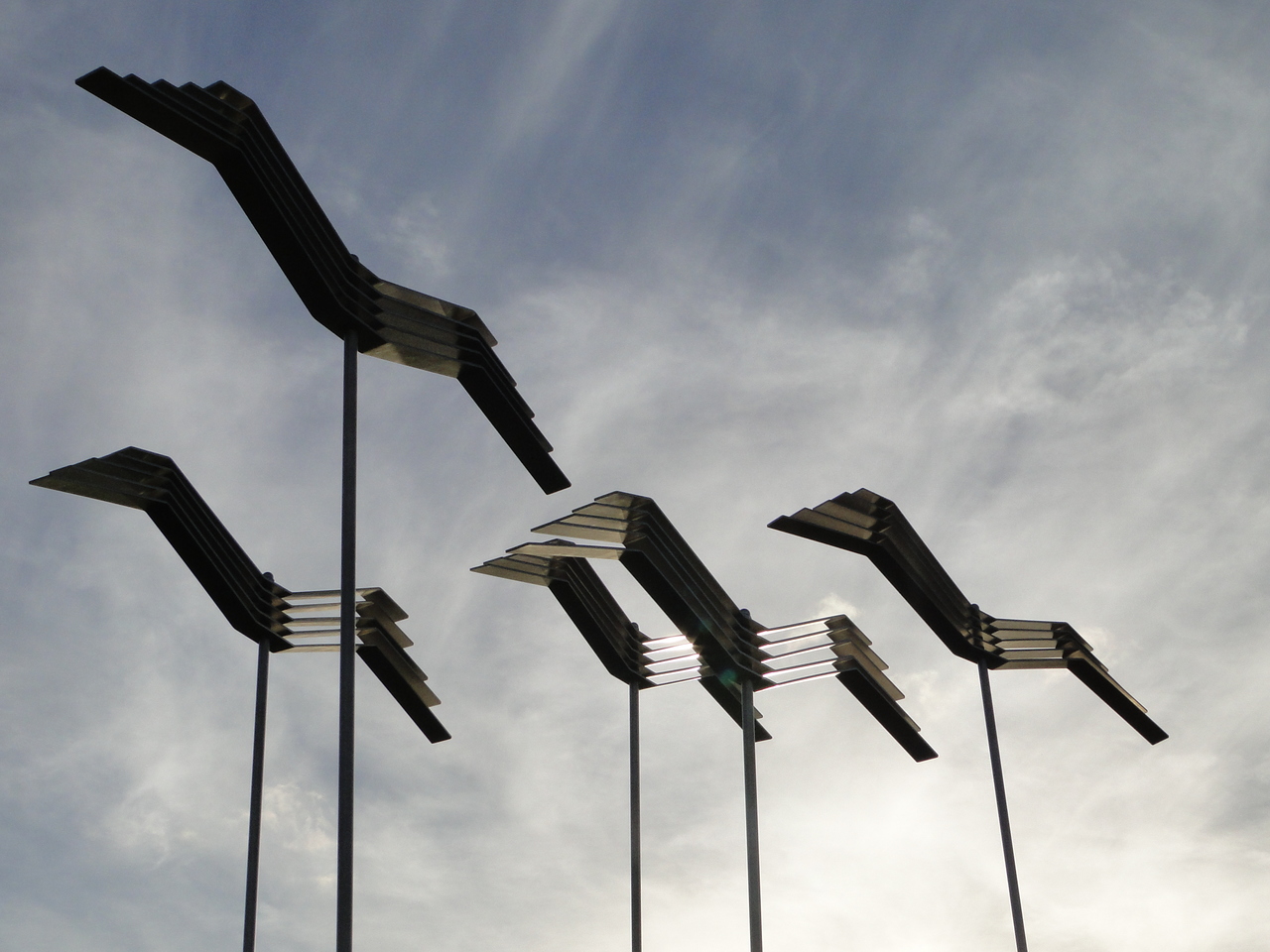 Crows