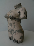 Torso