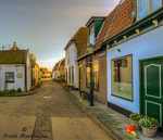 Diverse Texel