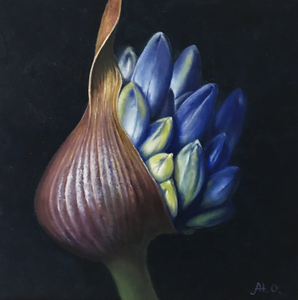 Voorjaarsbloemen in al hun
pracht.