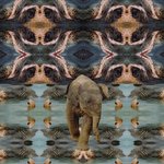 Vakantiefotografie, maar dan anders. Digitale manipulatie en het gefotografeerde object moeten evenwichtig herkenbaar zijn. De minimale manipulatie mag in één oogopslag worden herkend, maar tegelijkertijd moet de toeschouwer er doorheen zien en het gefotografeerde thema ongestoord herkennen. Vakantiefotografie, maar dan anders.