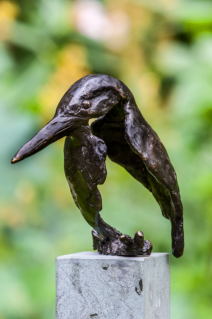 IJsvogel VI