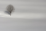 Winterfotoreportage Lofoten